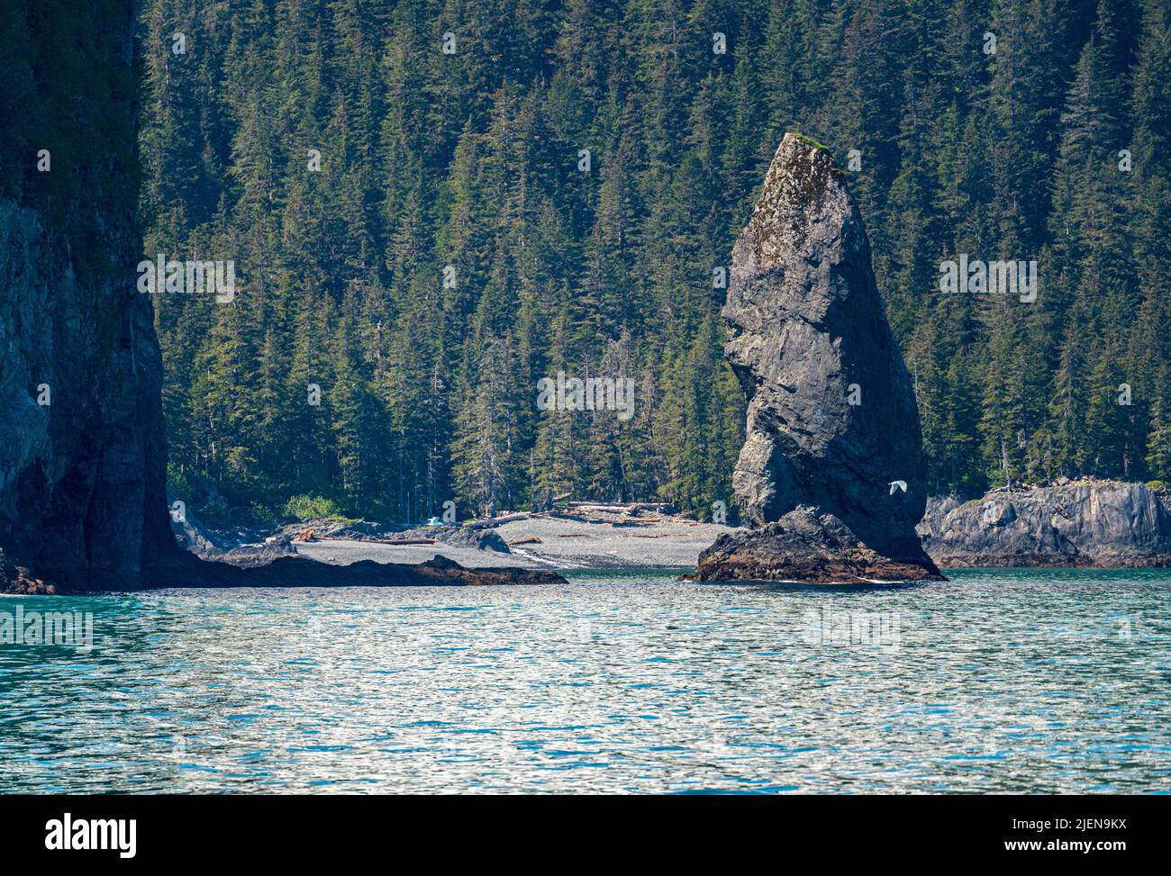 Spettacolari affioramenti rocciosi nella Resurrection Bay vicino al porto di Seward in Alaska Foto Stock