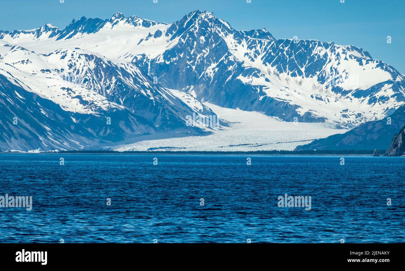 Ampia vista del ghiacciaio Bear che entra nella Resurrection Bay vicino a Seward Alaska Foto Stock