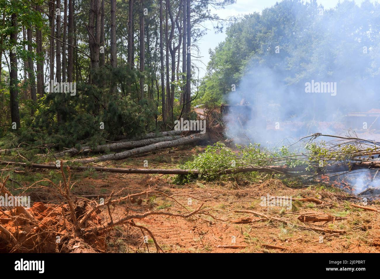 Gli alberi sono stati rimossi da una suddivisione per uno sviluppo di alloggiamento Foto Stock