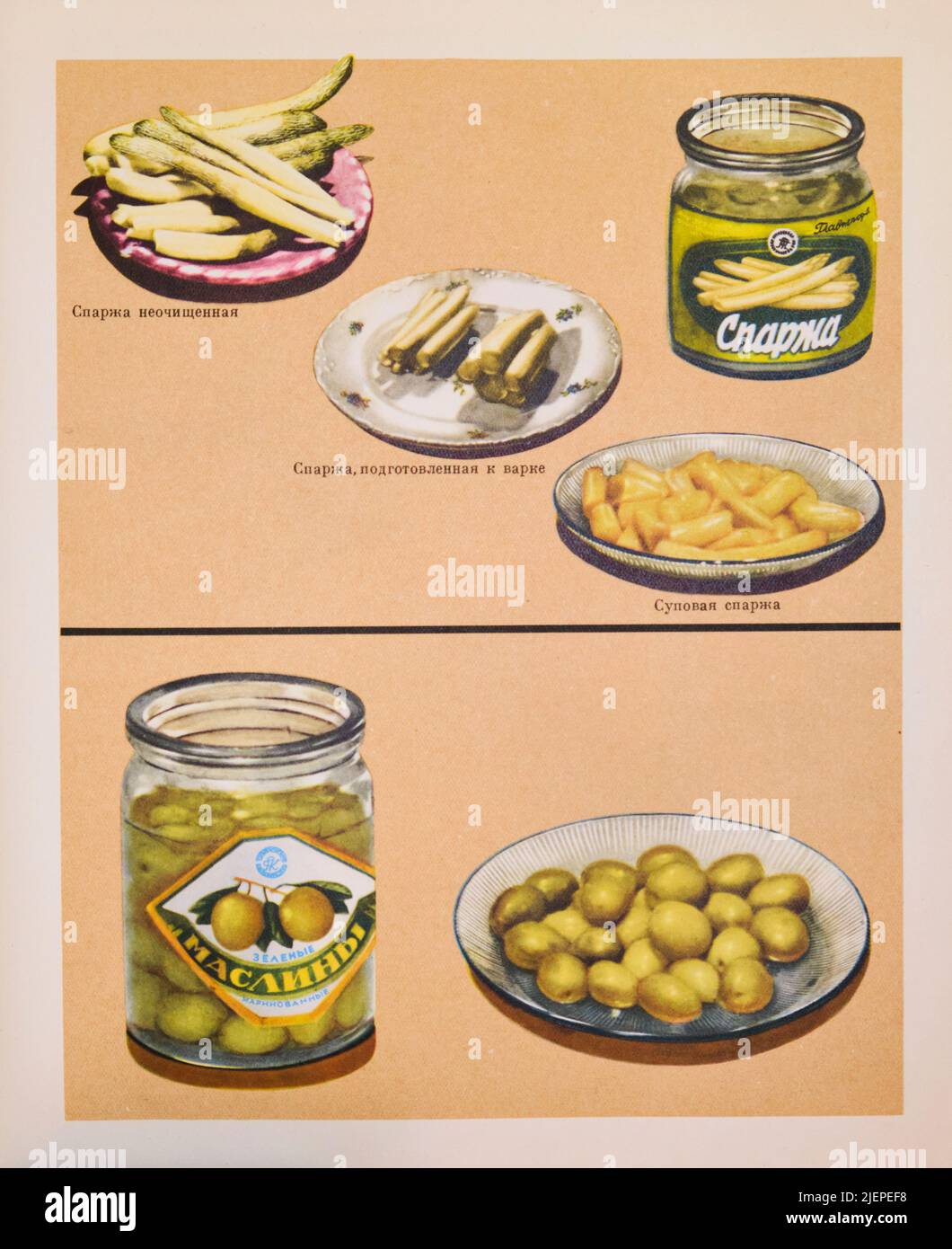 Un vasetto di olive verdi e un vasetto di asparagi bianchi con piatti campione. Dalla classica edizione del 1955 del libro di cucina sovietico, russo, il Libro su D Foto Stock