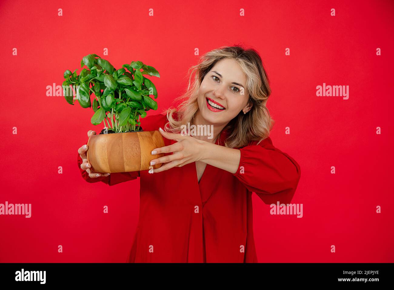 Donna bionda sorridente che sorride la pianta di basilico su sfondo rosso in studio, sorridendo il toothy sorriso, guardando la macchina fotografica Foto Stock