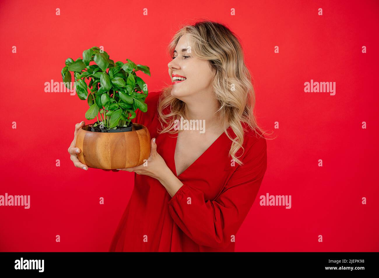 Donna bionda sorridente che sorride la pianta del basilico su sfondo rosso in studio, sorridendo il toothy, guardando il basilico Foto Stock