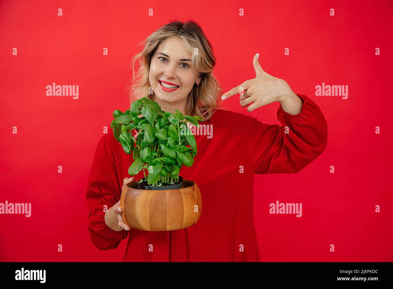 Puntando con dito sorridente donna bionda che Holing basilico pianta, legno pentola, sfondo rosso in studio, sorridente toothy sorriso Foto Stock