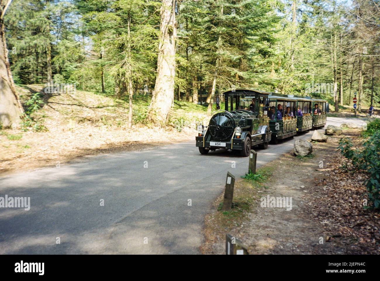 Treno stradale a Centre Parcs, Longleat, Wiltshire, Inghilterra, Regno Unito. Foto Stock