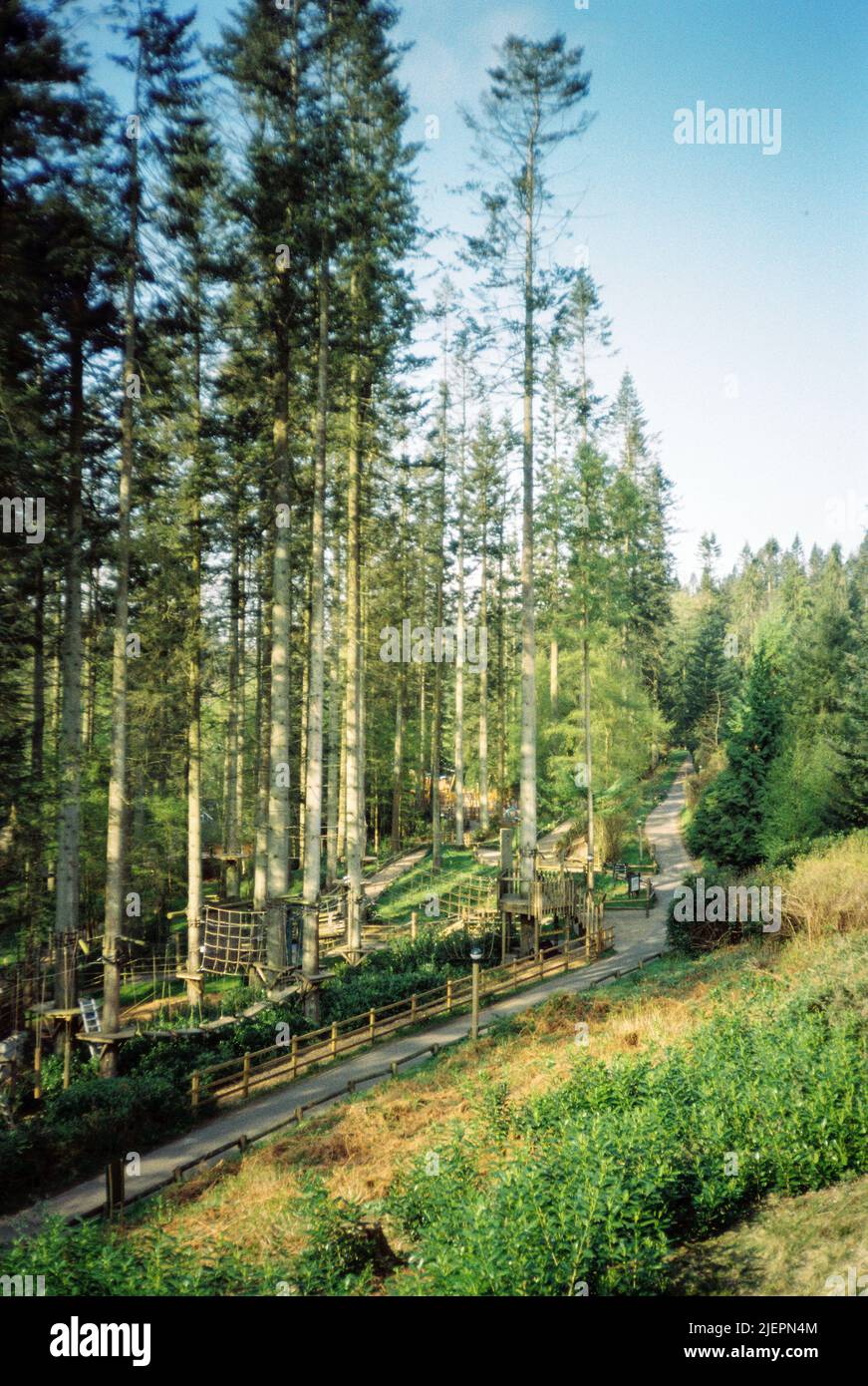 Center Parcs, Longleat, Wiltshire, Inghilterra, Regno Unito. Foto Stock