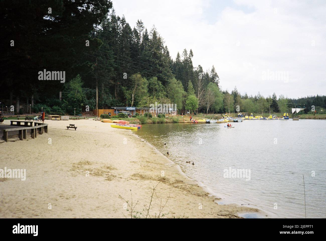 Center Parcs, Longleat, Wiltshire, Inghilterra, Regno Unito. Foto Stock