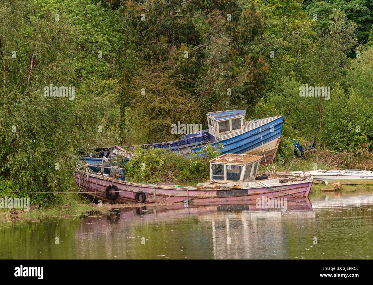 Sotto alcuni alberi si trovano barche dilapidate e abbandonate. La vernice è indossata e le barche sono usurate. Foto Stock