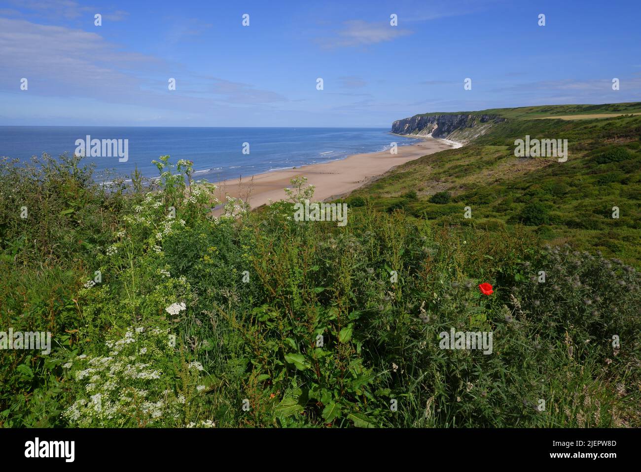 « REIGHTON SANDS », « FILEY BAY », « NORTH YORKSHIRE COAST ». Foto Stock