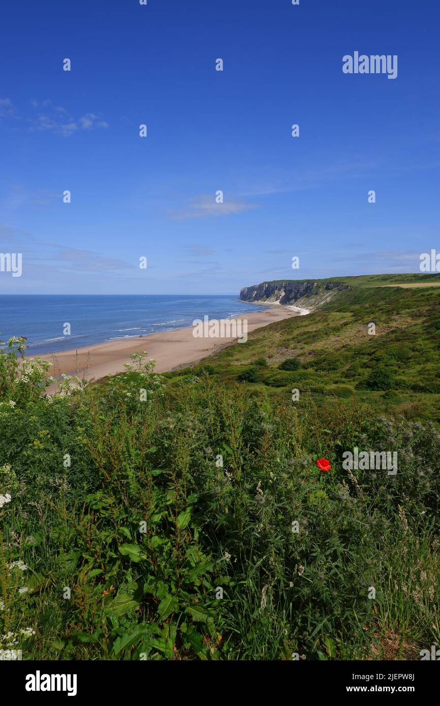 « REIGHTON SANDS », « FILEY BAY », « NORTH YORKSHIRE COAST ». Foto Stock