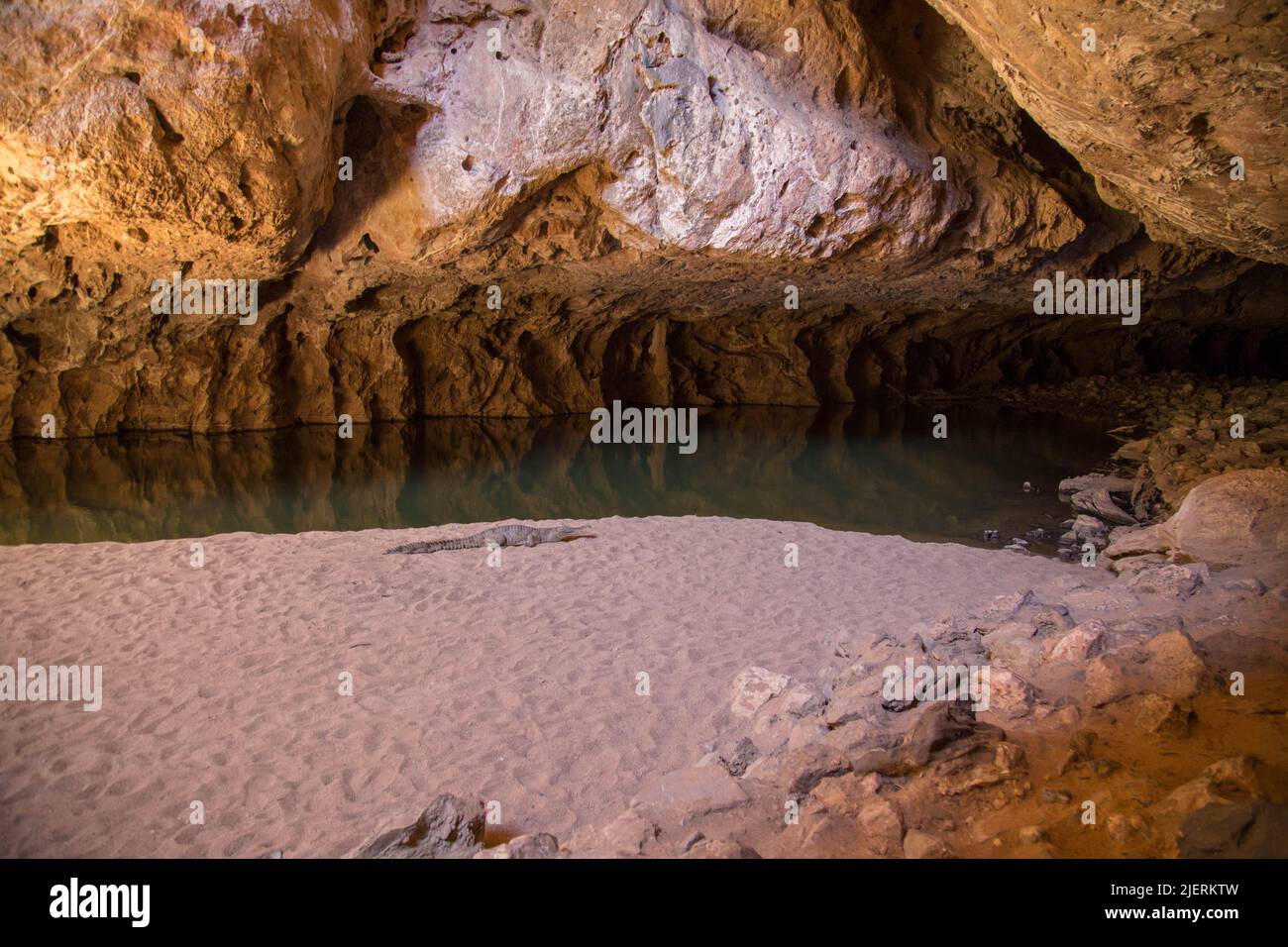 Coccodrillo d'acqua dolce in una grotta in Australia Foto Stock