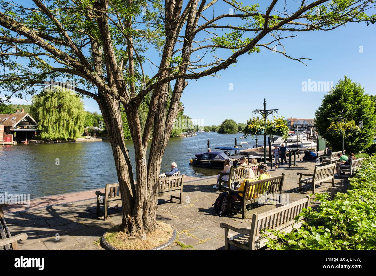 Le persone si rilassano sui posti a sedere al sole nel Singers Park lungo il fiume Tamigi. Henley-on-Thames, Oxfordshire, Inghilterra, Regno Unito, Gran Bretagna Foto Stock