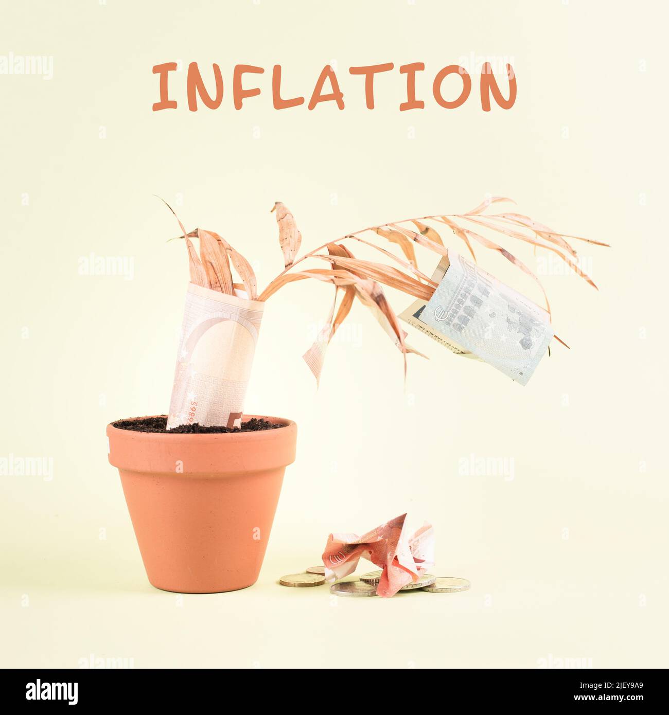 Impianto appassito in un vaso con banconote in euro che cadono dalle foglie, crollo finanziario, crisi di inflazione, depressione economica globale, fallimento delle imprese Foto Stock