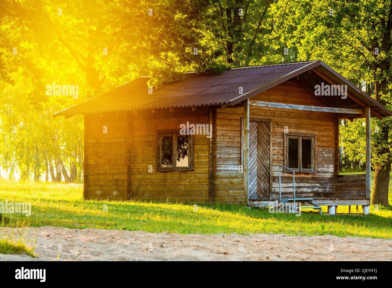 Piccola casa di legno con un albero che cresce intorno. Tipico cottage estivo. Campagna piccola cabina accogliente in una zona rurale. Foto Stock