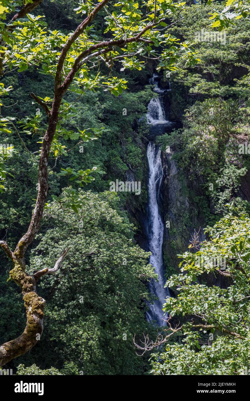 Cascate di Mynach, Ponte del Diavolo, Rheidol Valley, Cerediaion, Galles Foto Stock