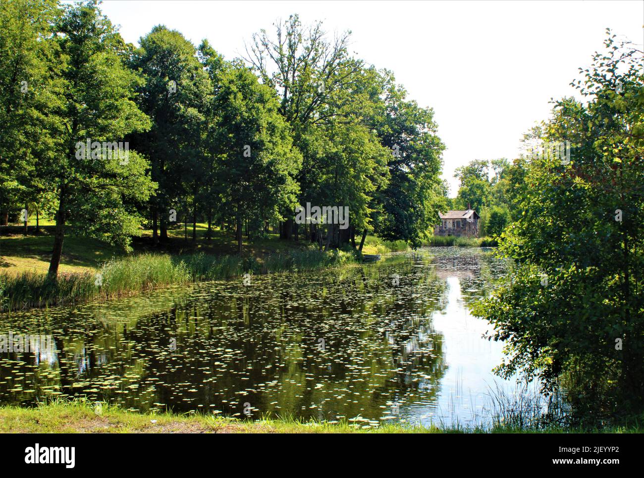 La splendida natura della Lettonia. Foto Stock