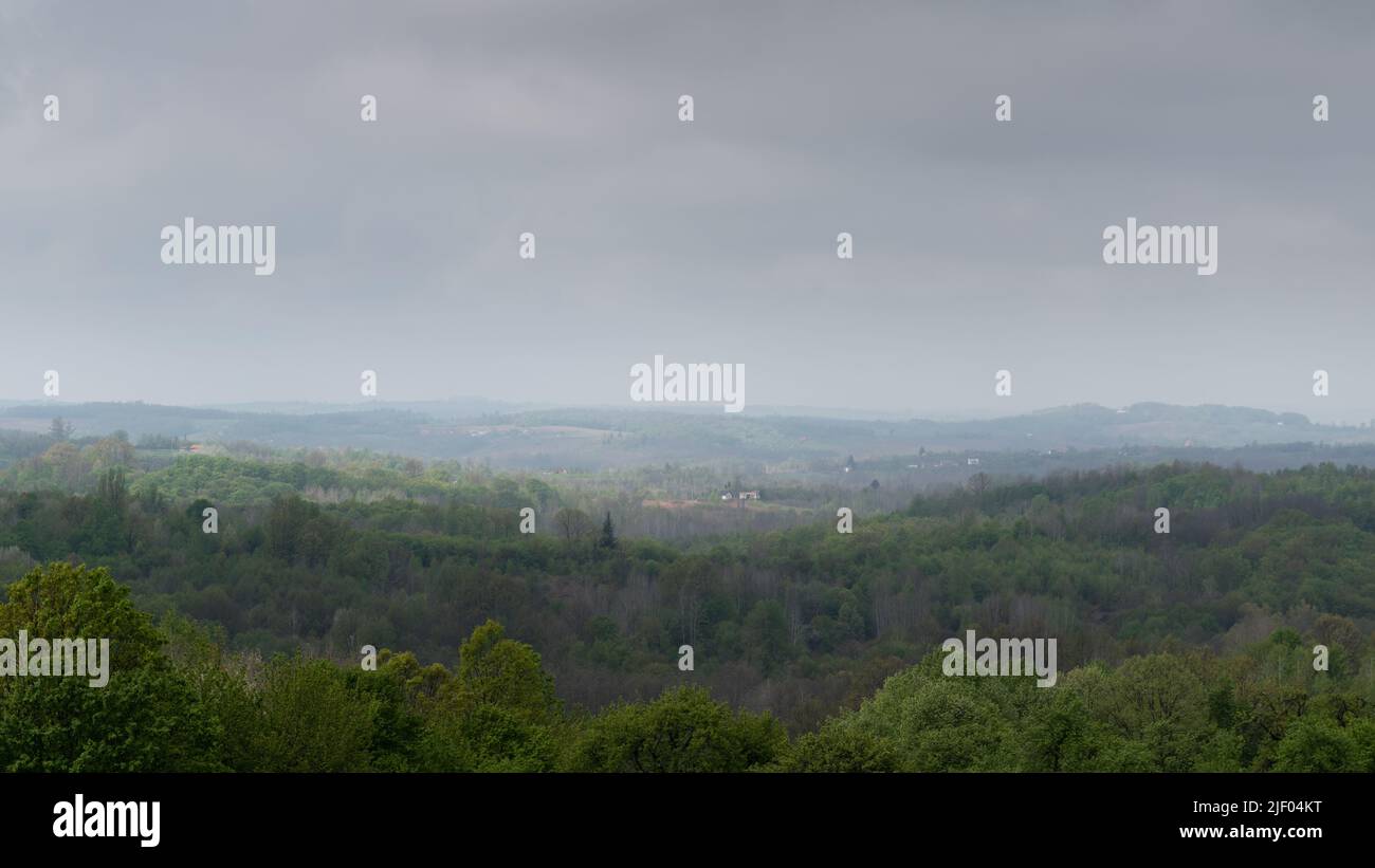 Paesaggio di campagna collinare con foresta lussureggiante, mattina coperto con un po 'di luce Foto Stock