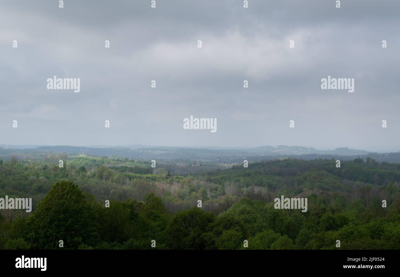 Paesaggio di campagna collinare con foresta lussureggiante, mattina coperto con un po 'di luce Foto Stock