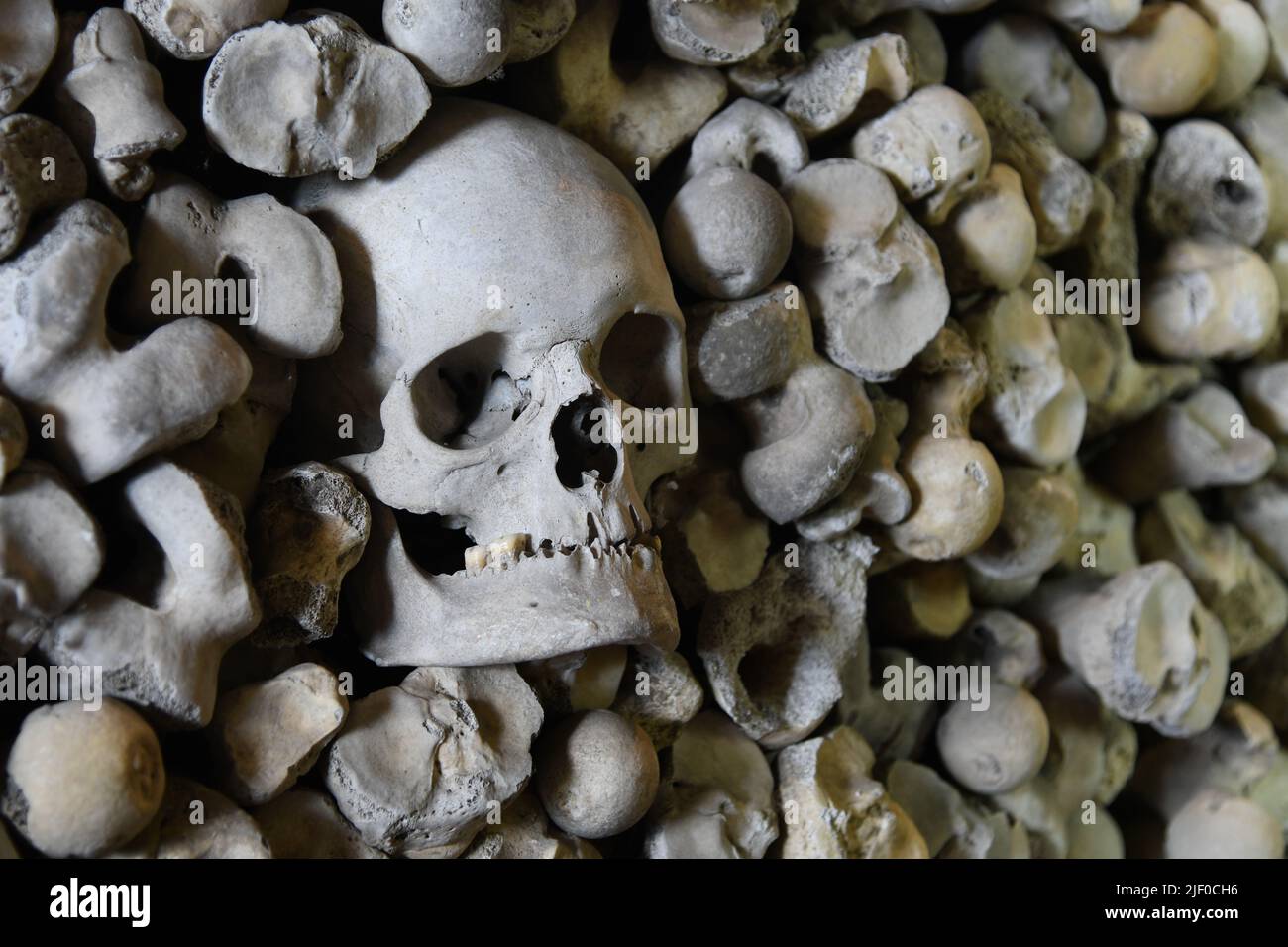 Teschi umani e ossa Foto Stock