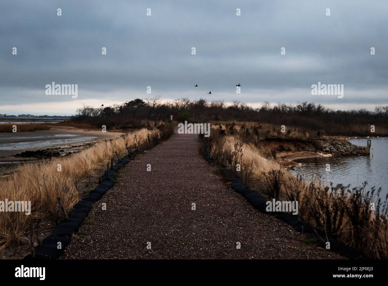 West Pond Trial nel pomeriggio nuvoloso al Jamaica Bay Wildlife Refuge Foto Stock