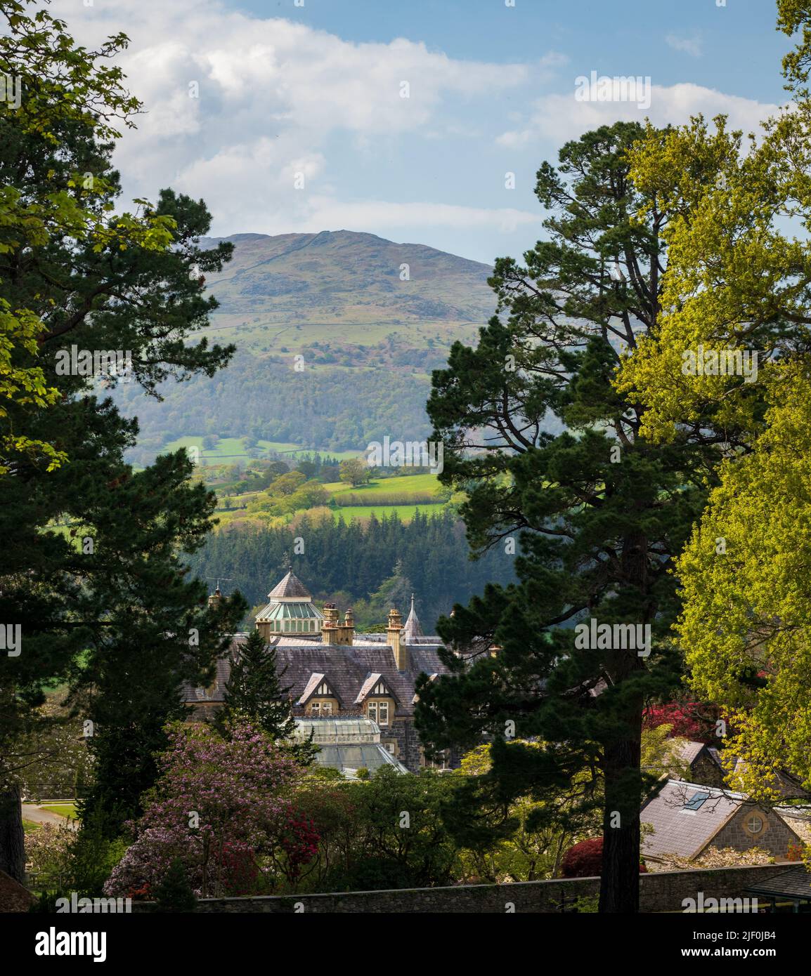 Ammira gli alberi che incorniciano la vecchia casa padronale del Bodnant Garden nel Galles del Nord in primavera Foto Stock