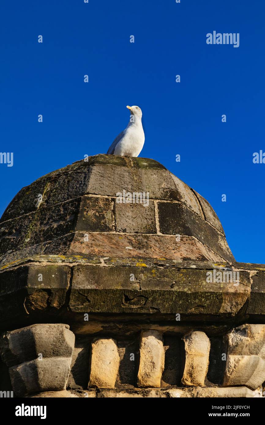 Edimburgo, la capitale della Scozia. Foto Stock