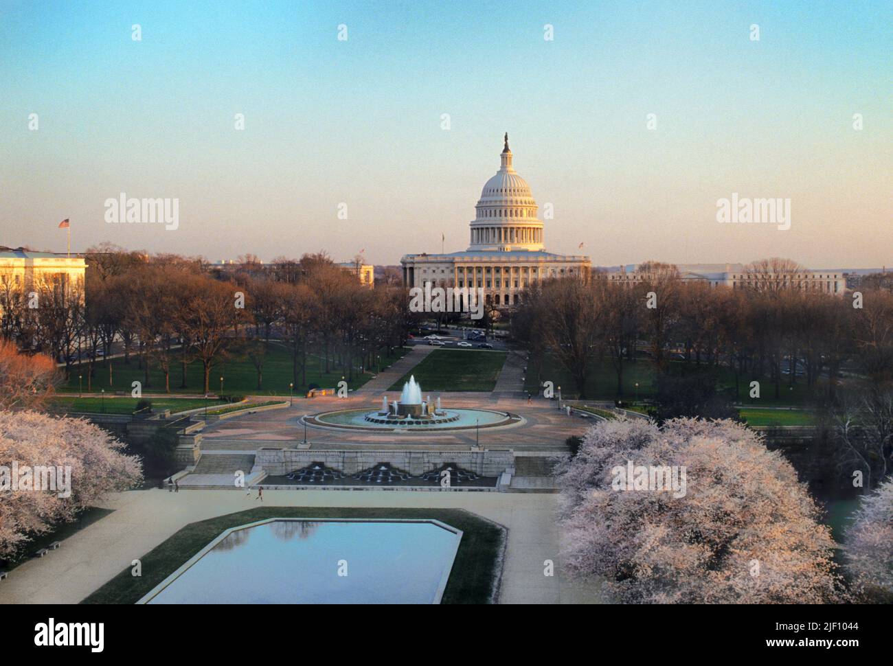 Affacciato sul Campidoglio del National Mall di Washington DC, fioritura primaverile di ciliegio. Vista ad alto angolo nel tardo pomeriggio o al crepuscolo. STATI UNITI Foto Stock
