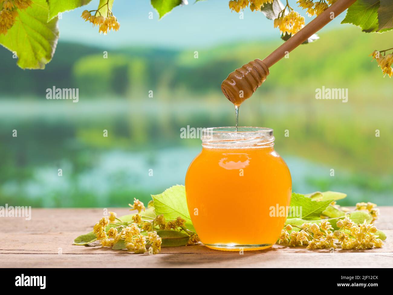 Miele di tiglio biologico. Vaso di miele e cucchiaia di miele sul tavolo sotto l'albero di tiglio. Il concetto di nutrizione sana e naturale. Foto Stock