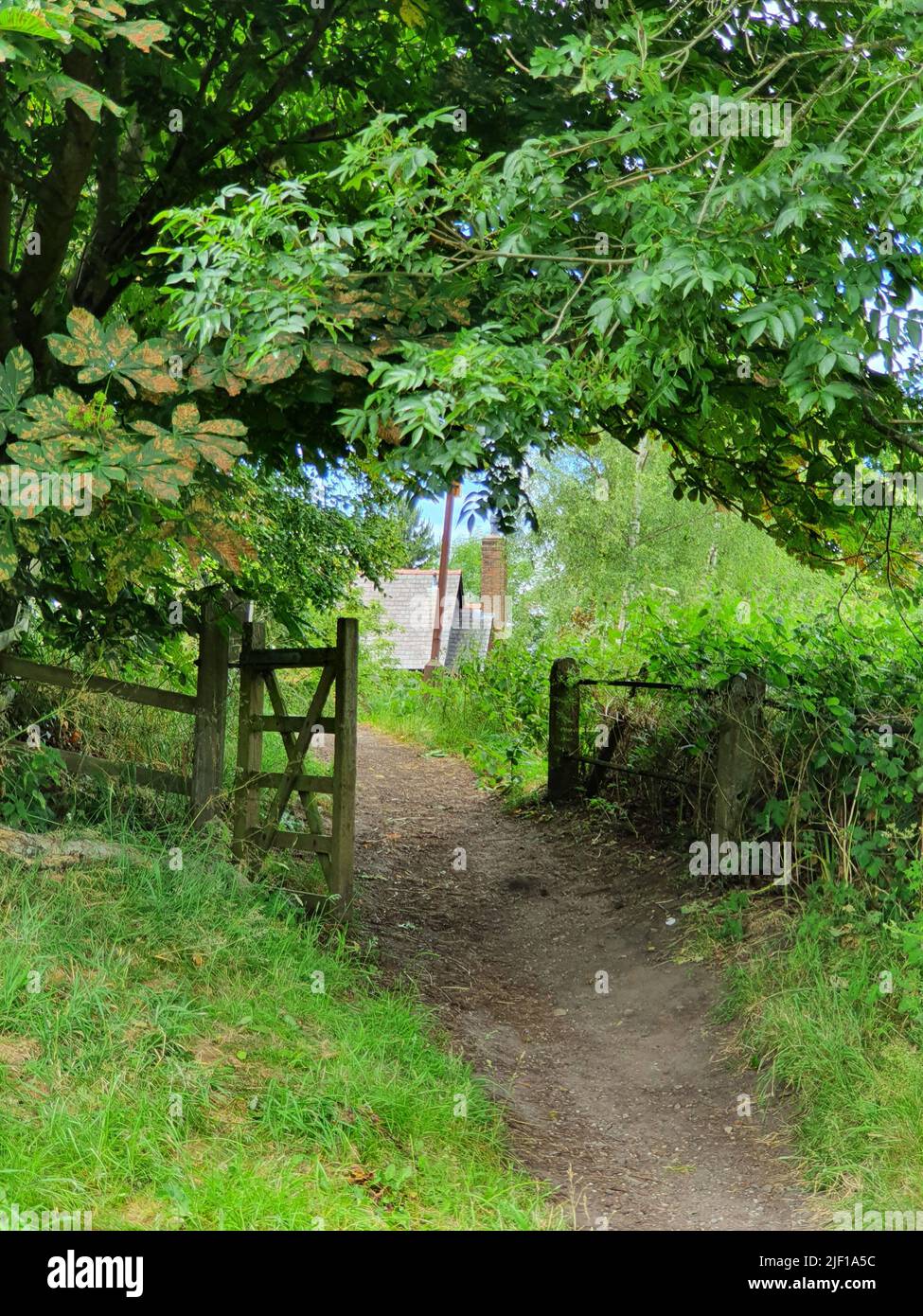 Vecchio percorso inglese con la vecchia porta di quercia, Manchester uk Foto Stock