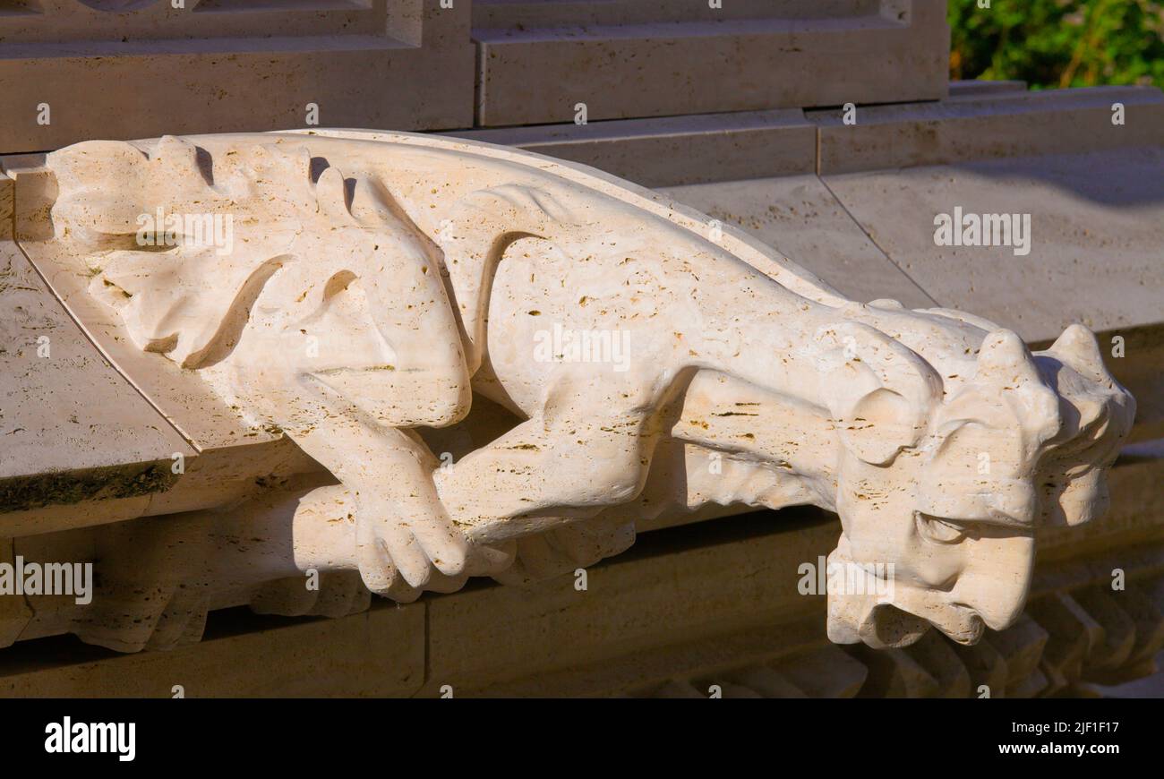 Croazia, Zagabria, Cattedrale, gargoyle, dettaglio architettura, Foto Stock
