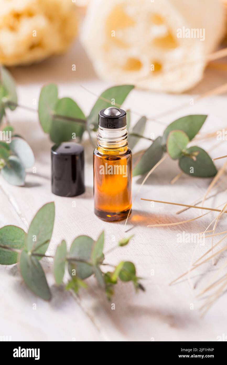 Cosmetici naturali fatti a mano - bottiglia con bastoncino di olio essenziale con ramificazione di eucalipto e prodotti di bellezza Foto Stock
