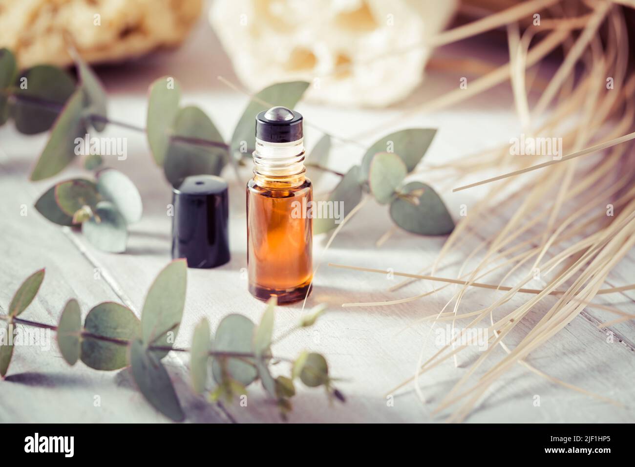Cosmetici naturali fatti a mano - bottiglia con bastoncino di olio essenziale con ramificazione di eucalipto e prodotti di bellezza Foto Stock