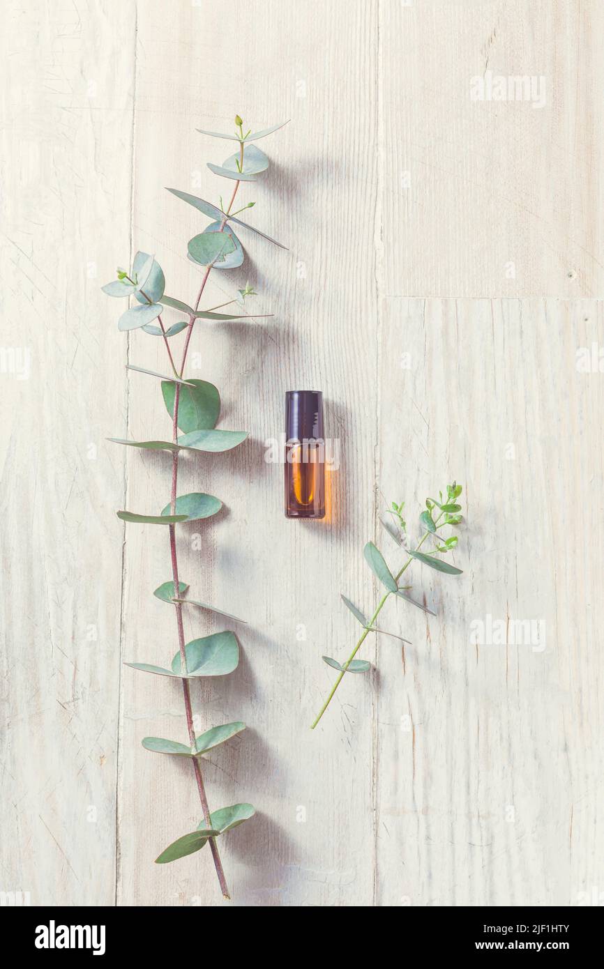 Cosmetici naturali fatti a mano - bottiglia con bastoncino di olio essenziale con ramo di eucalipto Foto Stock