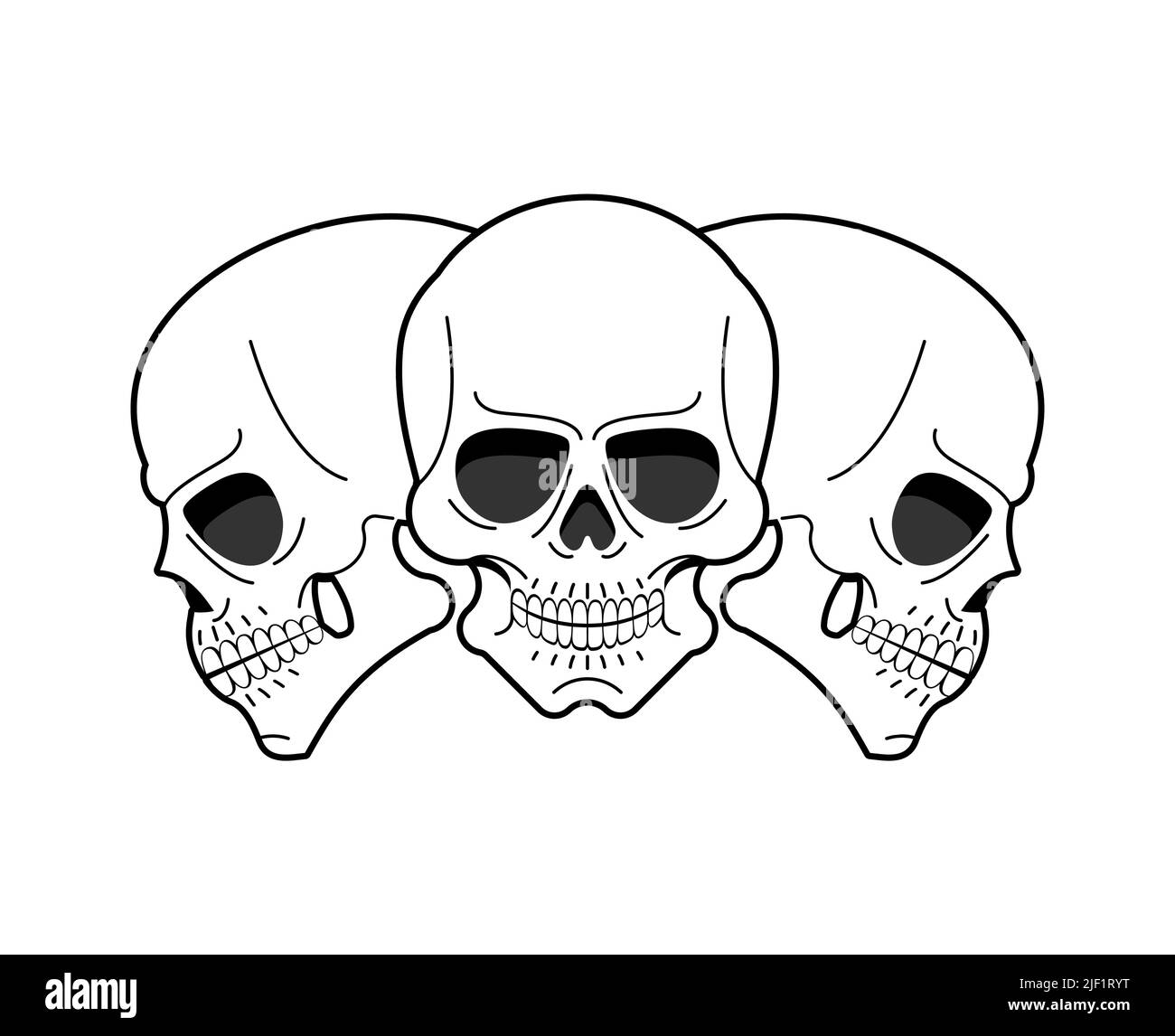 Cranio anatomico isolato. Testa scheletrica illustrazione vettoriale Illustrazione Vettoriale