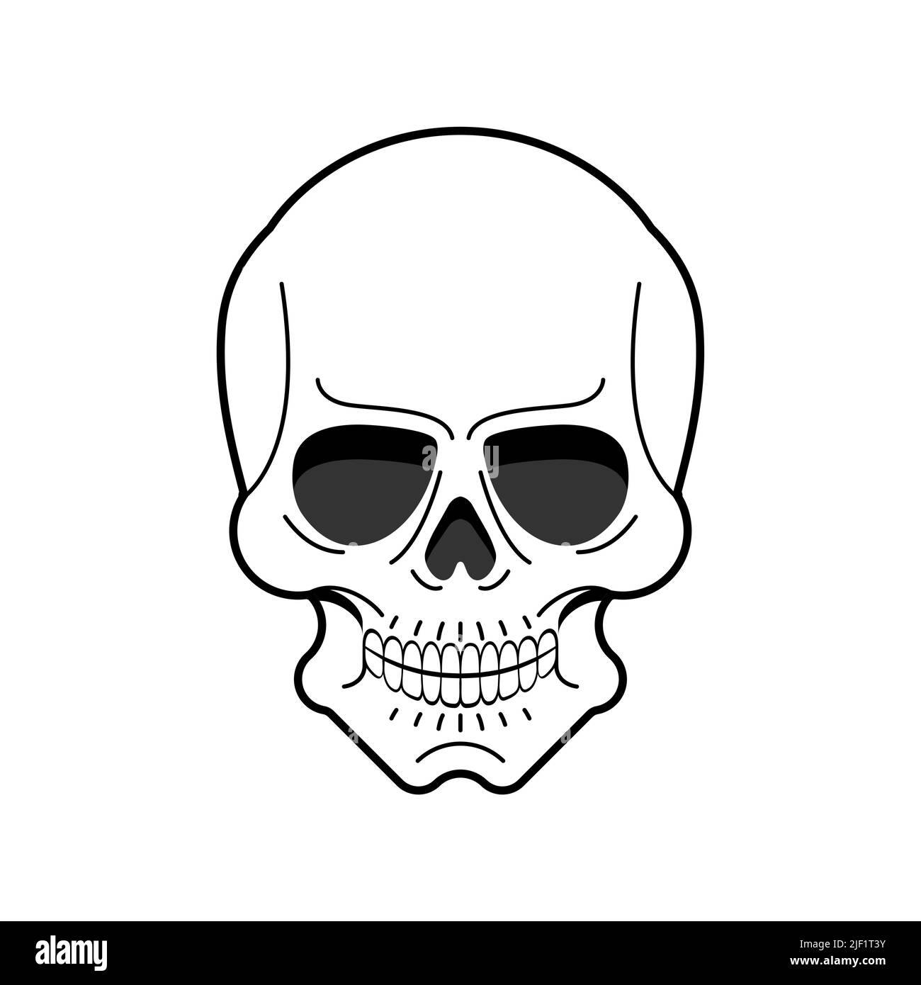 Cranio anatomico isolato. Testa scheletrica illustrazione vettoriale Illustrazione Vettoriale