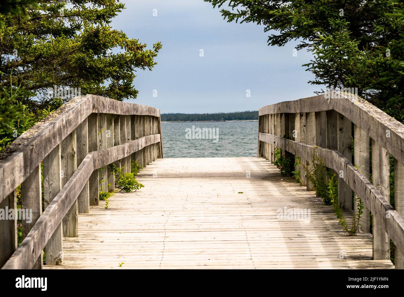 Una passerella in legno conduce a Risser's Beach in Nuova Scozia. Foto Stock