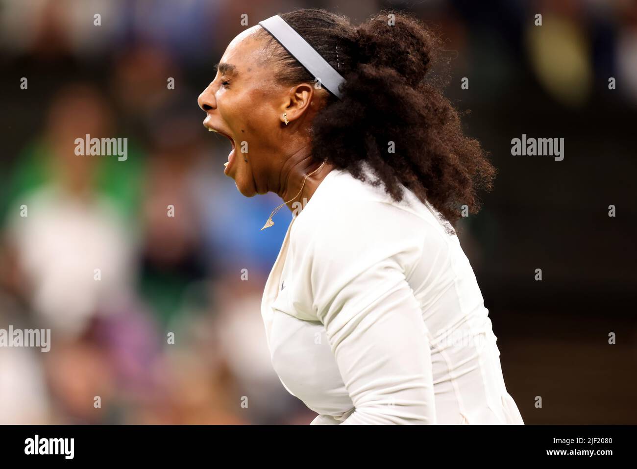 28th giugno 2022, All England Lawn Tennis and Croquet Club, Londra, Inghilterra; torneo di tennis di Wimbledon; Serena Williams urla fuori carico come lei vince un punto contro Harmony Tan nei single delle Signore Foto Stock