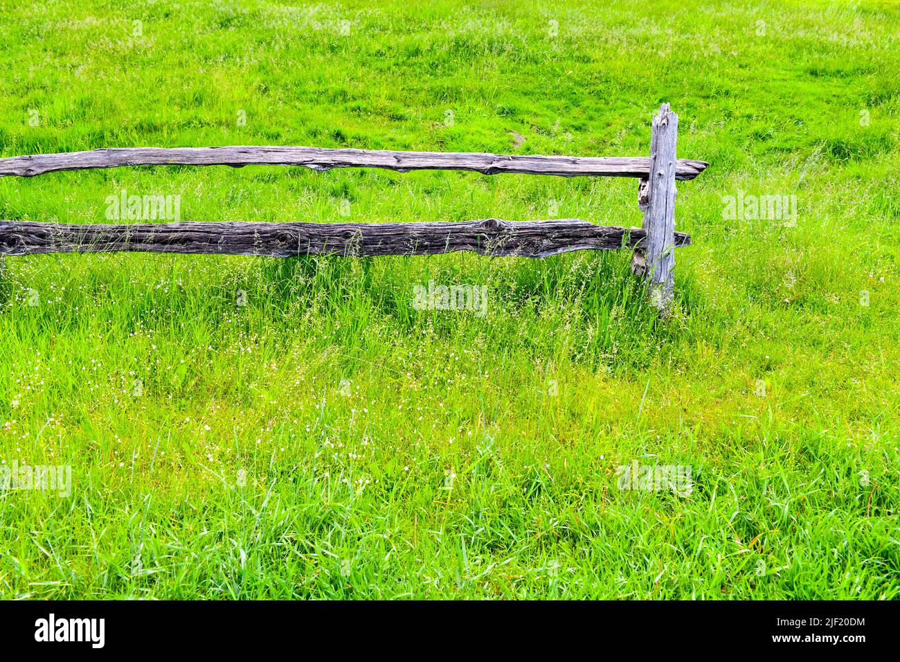 Vecchia recinzione e campo verde Foto Stock
