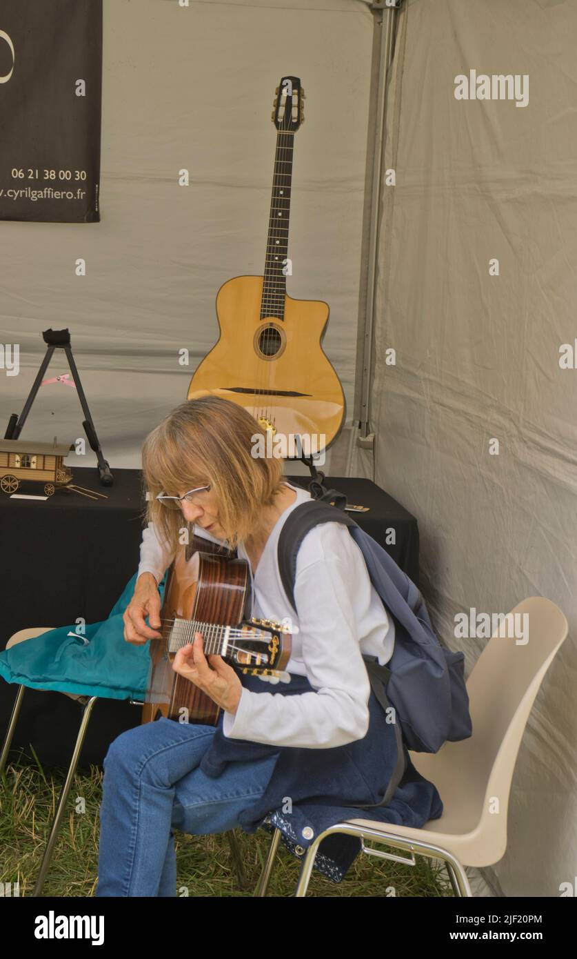 Artisti e pubblico al festival musicale Django Reinhardt di Fontainebleau, Francia, Europa Foto Stock