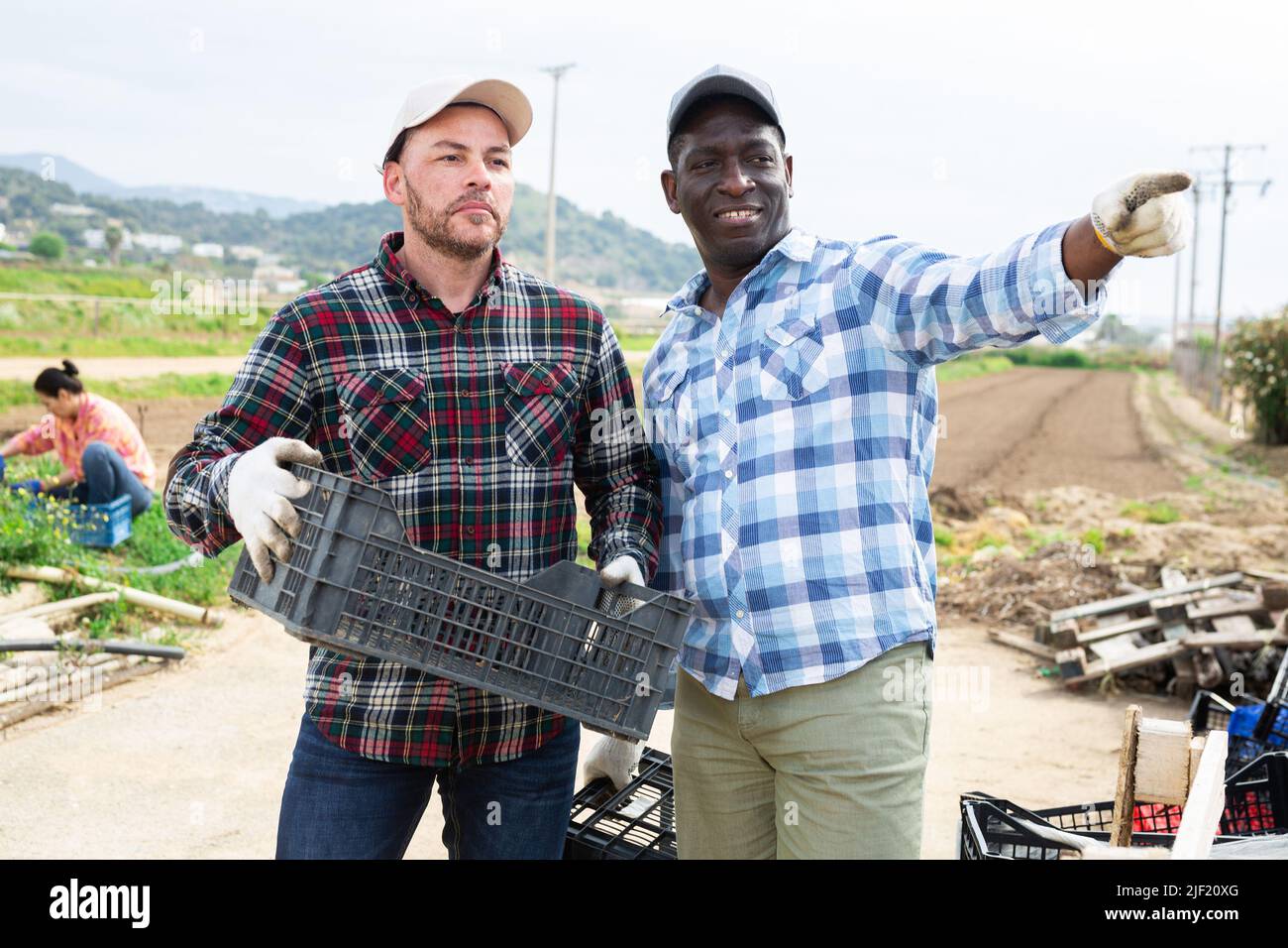 Due agricoltori maschi che parlano di allevamento di ortaggi Foto Stock