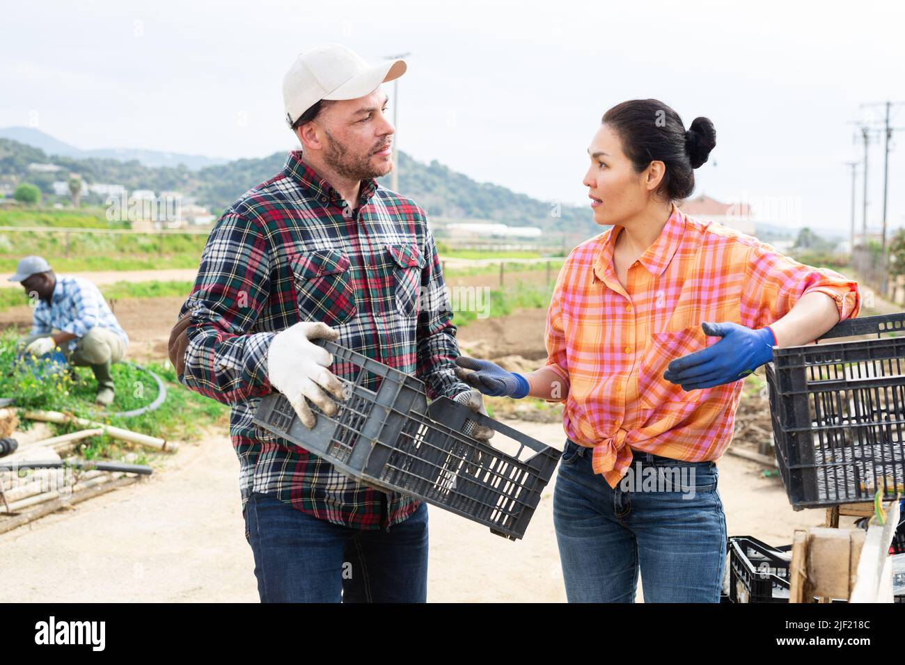 Due agricoltori fiduciosi che parlano di fattoria vegetale Foto Stock