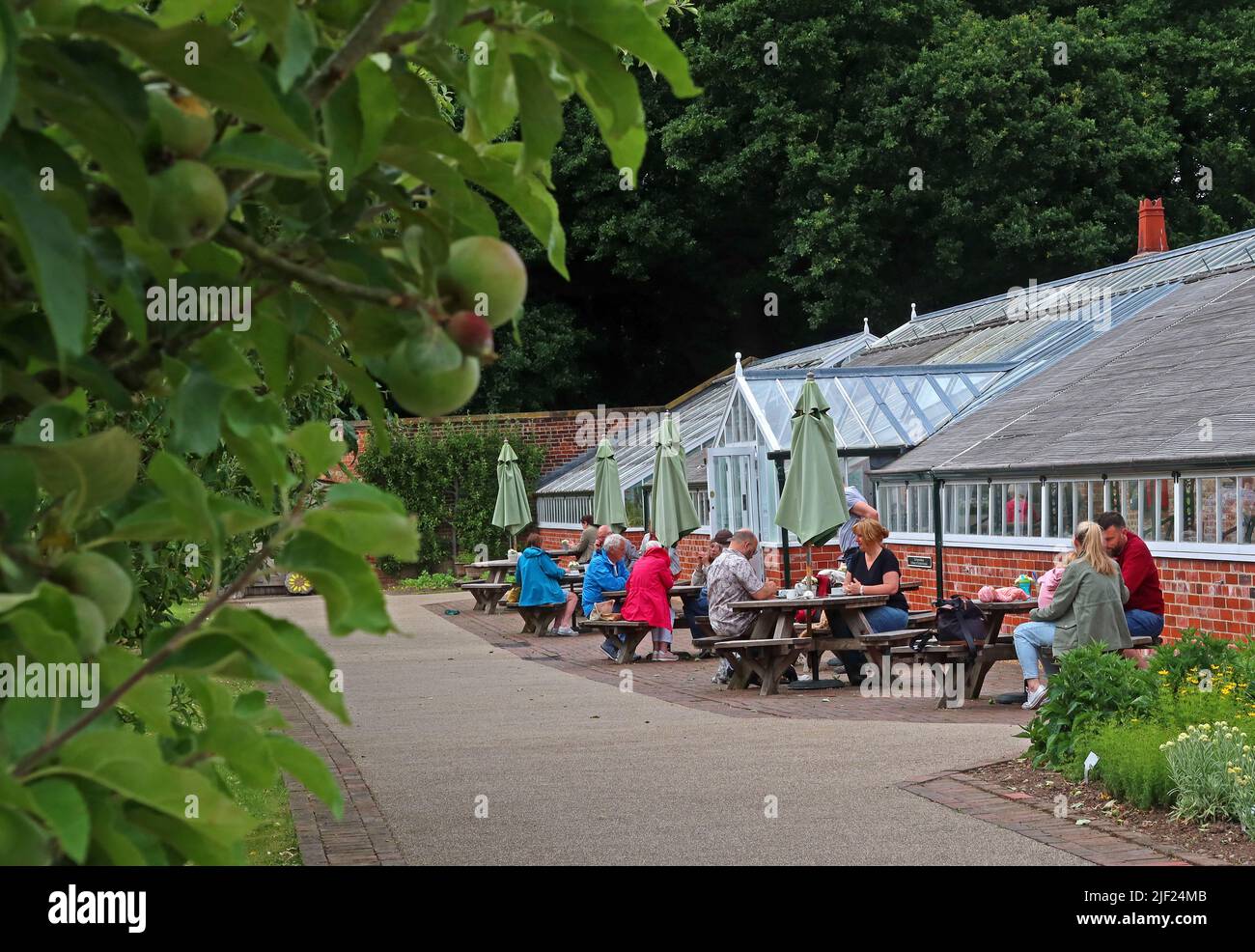 Grappenhall Heys murato giardino, Witherwin Avenue Grappenhall, South Warrington, Cheshire, Inghilterra, REGNO UNITO, WA4 3DS Foto Stock