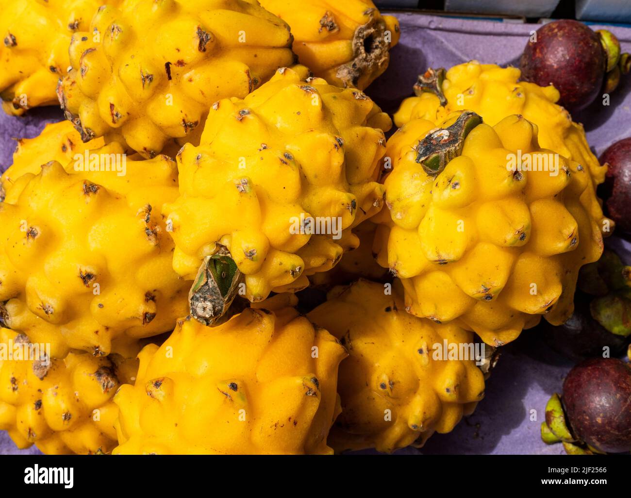 Hylocereus megalanthus - frutta gialla del drago nel mercato colombiano tradizionale Foto Stock