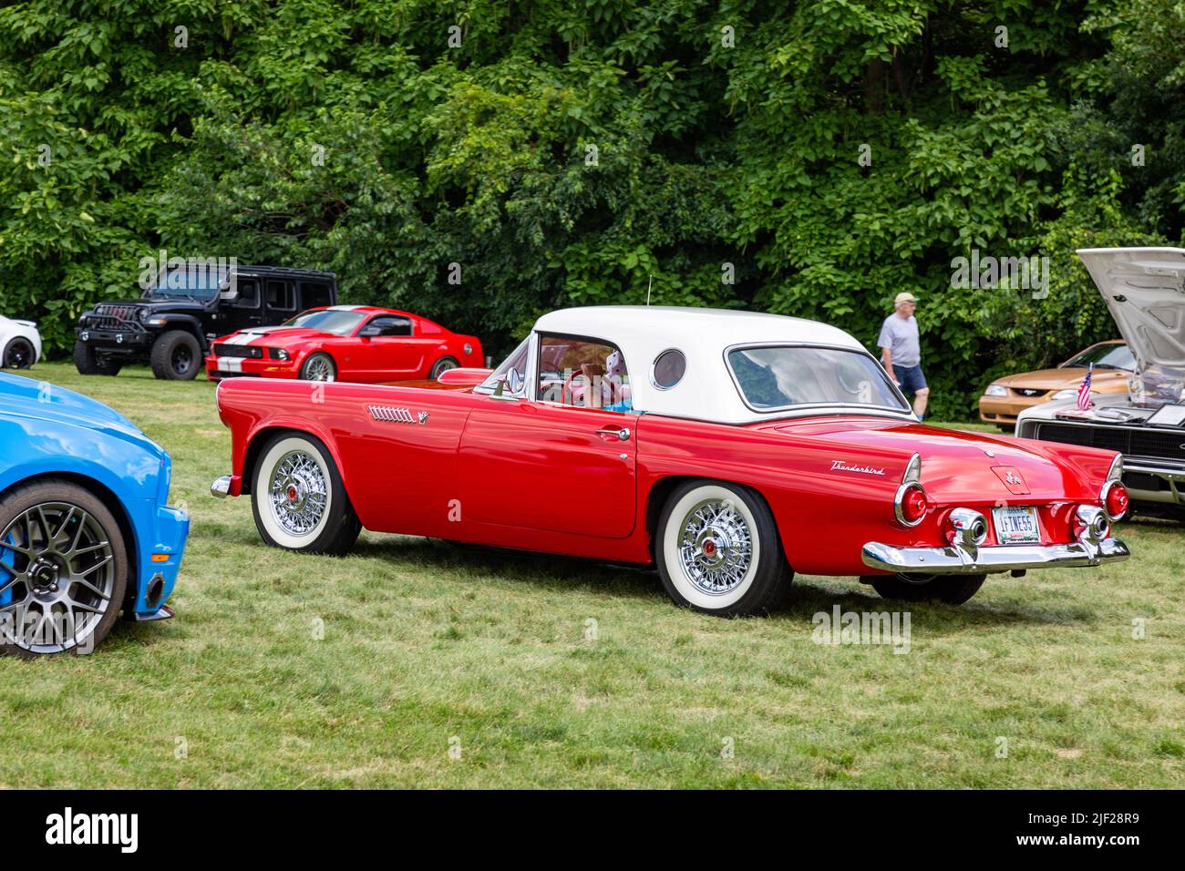 Un elegante 1955 Ford Thunderbird rosso ad una mostra di auto a Fort Wayne, Indiana, Stati Uniti. Foto Stock