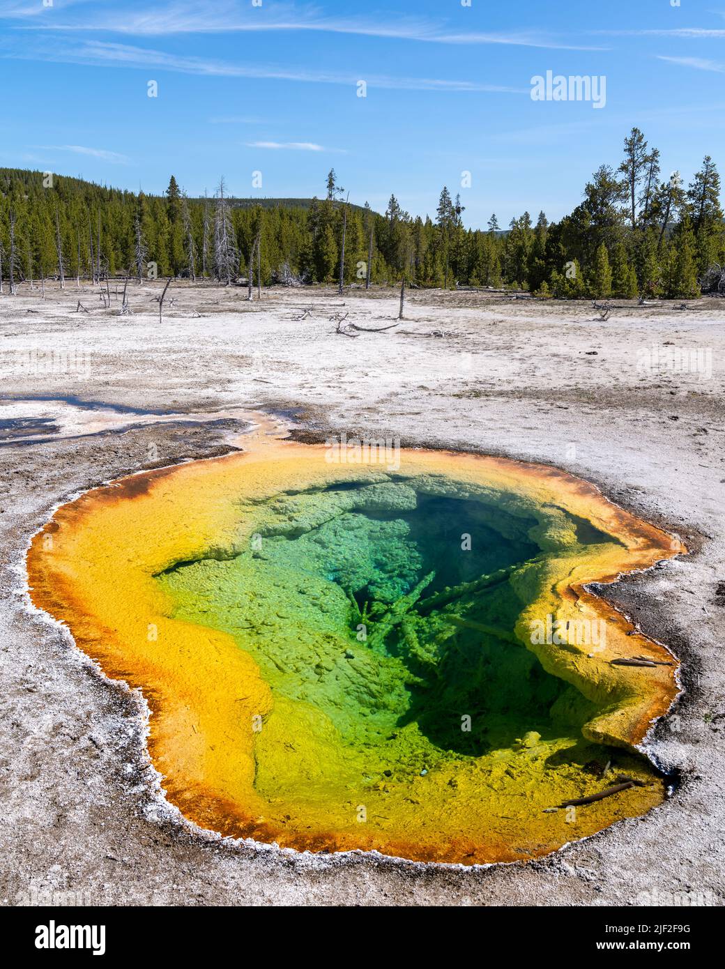 Splendide sorgenti termali multicolore nel parco nazionale di Yellowstone. Foto Stock