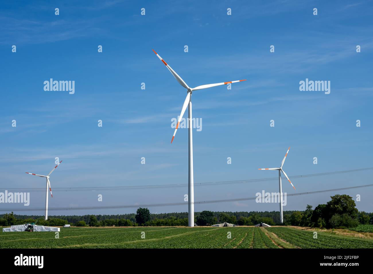 Turbine eoliche con linee elettriche in una giornata di sole in Germania Foto Stock