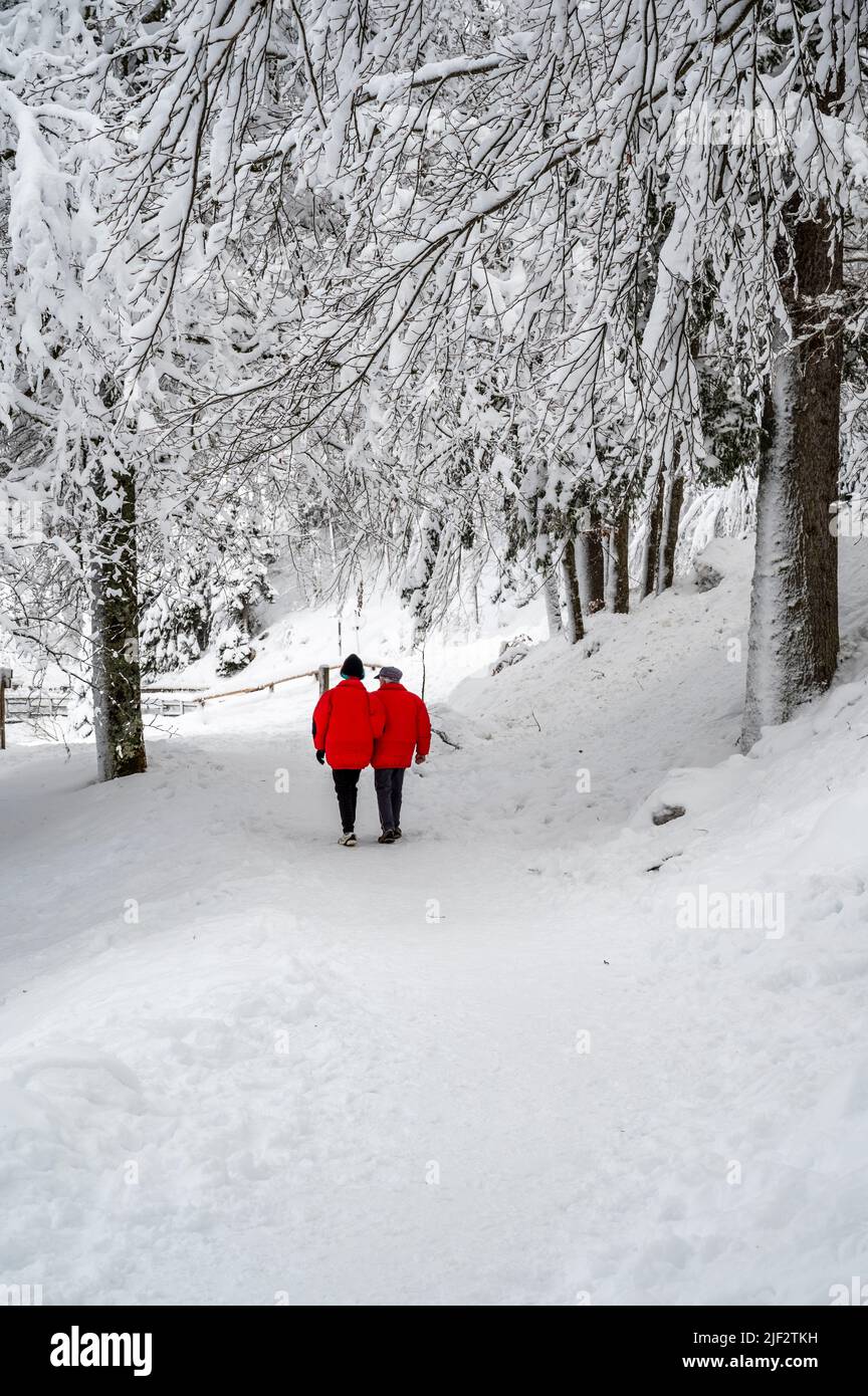 Inverno neve a Fusine. Magia del lago inferiore. Foto Stock