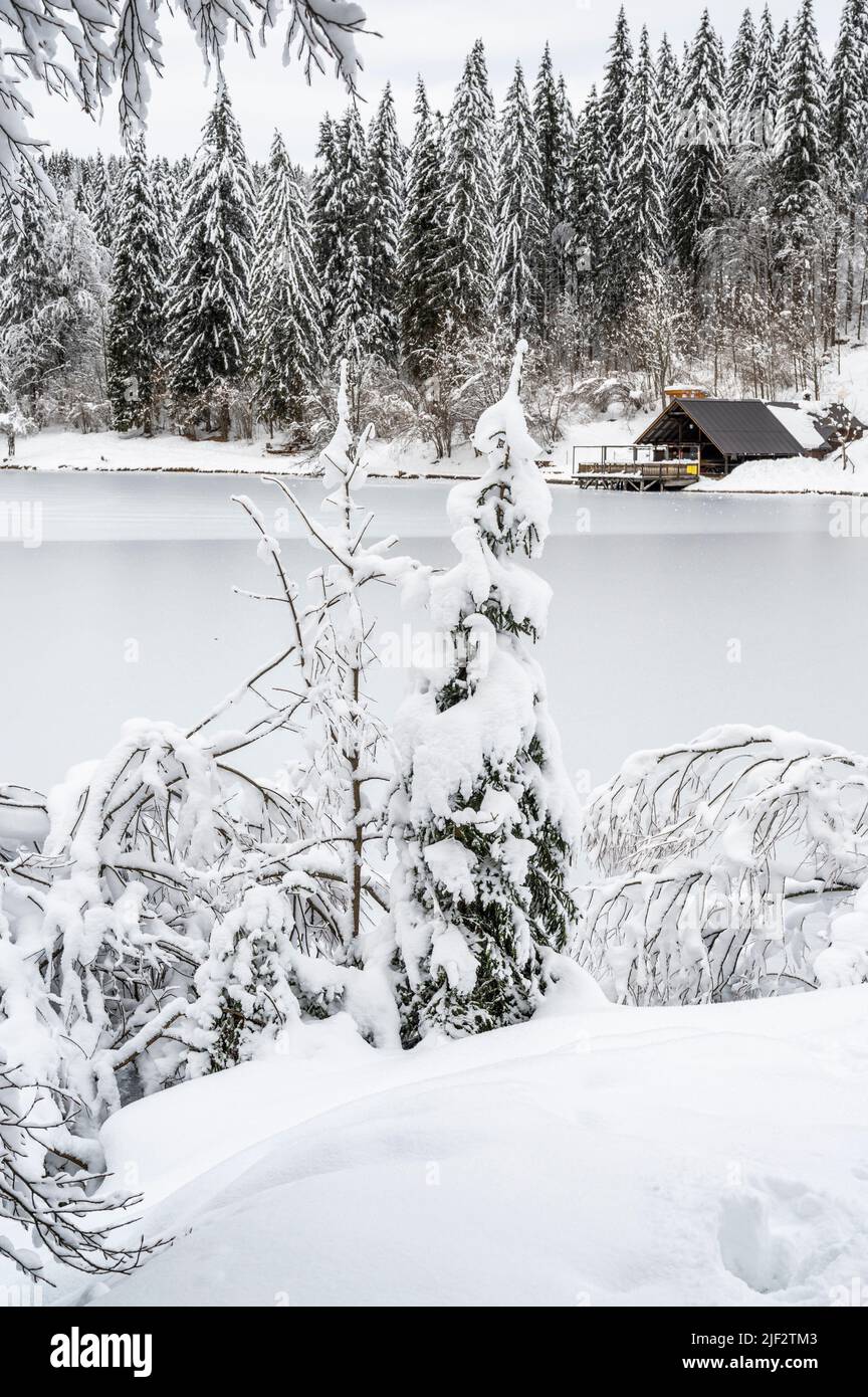 Inverno neve a Fusine. Magia del lago inferiore. Foto Stock
