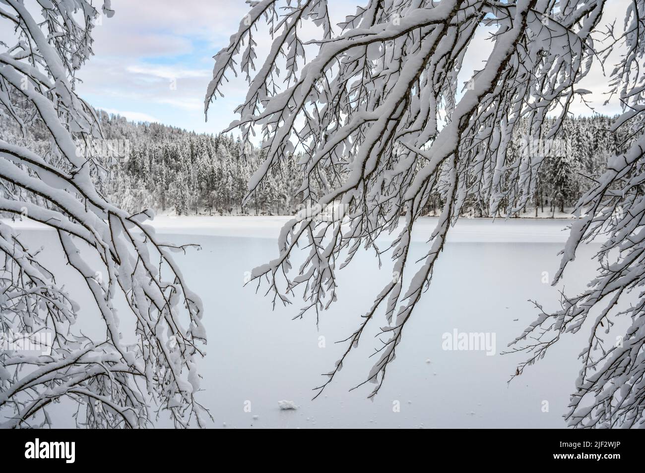 Inverno neve a Fusine. Magia del lago inferiore. Foto Stock