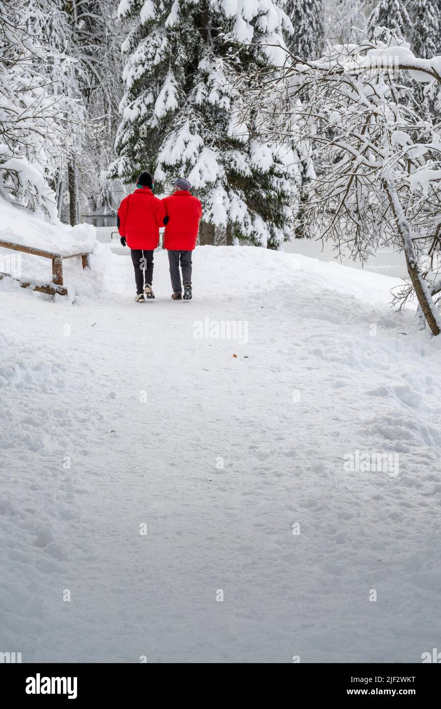 Inverno neve a Fusine. Magia del lago inferiore. Foto Stock