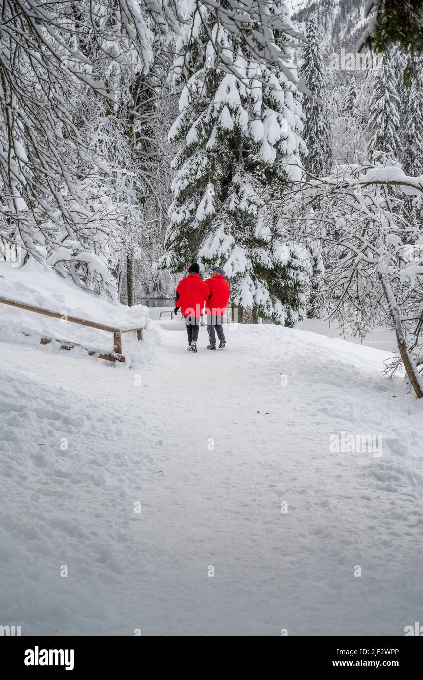 Inverno neve a Fusine. Magia del lago inferiore. Foto Stock